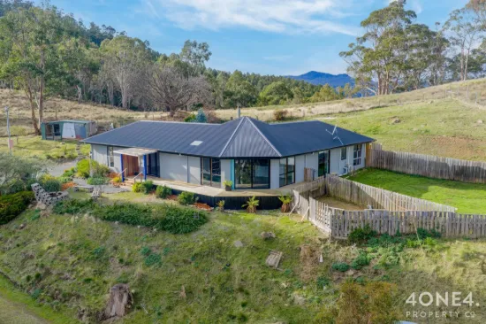 4 Braslins Road, Black Hills, Tas 7140