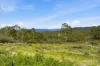 4 Braslins Road, Black Hills, Tas 7140-Image