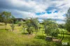 4 Bridle Place, Bega, NSW 2550-Image