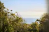 4 Butler Avenue, Mornington, Vic 3931-Image