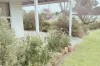 4 Byng Street, Holbrook, NSW 2644-Image