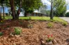 4 Carbeen Court, Southside, Qld 4570-Image
