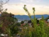 4 Carter Court, Rosetta, Tas 7010-Image