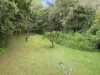 4 Cecil Street, Nimbin, NSW 2480-Image