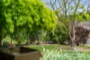 4 Chip Chase Court, Bowral, NSW 2576-Image