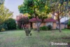 4 Clay Street, Eden Hill, WA 6054-Image