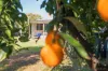 4 Cohen Lane, North Tamworth, NSW 2340-Image