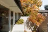 4 Collier Street, Curtin, ACT 2605-Image