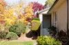 4 Collier Street, Curtin, ACT 2605-Image