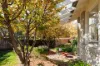 4 Collier Street, Curtin, ACT 2605-Image