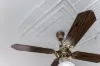 4 Collins Street, Pennington, SA 5013-Image