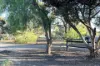 4 Coombs Court, Lewiston, SA 5501-Image