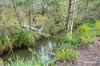 4, Coowonga QLD 4702-Image