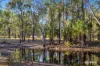 4 Coowonga Road, Coowonga, Qld 4702-Image