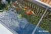 4 Cordova Court, Craigie, WA 6025-Image