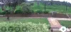 4 Creswick Court, Craigmore, SA 5114-Image