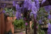 4 Crosby Hill Road, Buderim, Qld 4556-Image