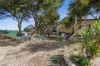 4  Curlew Crescent, Thompson Beach, SA 5501-Image