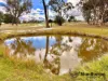 4 Curran Lane, Applethorpe, Qld 4378-Image