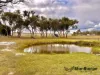 4 Curran Lane, Applethorpe, Qld 4378-Image