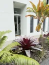 4 David Street, Noosa Heads, Qld 4567-Image