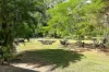 4 Davidson Road, Cawarral, Qld 4702-Image