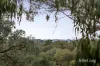 4 Diane Court, Warrandyte, Vic 3113-Image