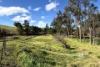 4 Donelly Street, Bruthen, Vic 3885-Image
