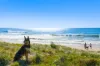 4 Driftwood Drive, Castaways Beach, Qld 4567-Image