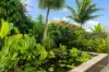 4 Dugong Avenue, Pialba, Qld 4655-Image