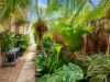 4 Dugong Avenue, Pialba, Qld 4655-Image