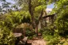 4 Dunmore Street, Katoomba, NSW 2780-Image