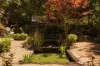 4 Dunmore Street, Katoomba, NSW 2780-Image