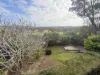 4 East View Parade, Belmont, Vic 3216-Image