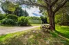 4 Elgin Road, Beechworth, Vic 3747-Image