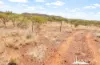 4 Eliana Boulevard, Mount Isa, Qld 4825-Image