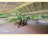 4 Elinor Terrace, Glen Osmond, SA 5064-Image