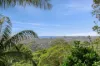 4 Ellery Parade, Seaforth, NSW 2092-Image
