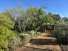 4 Ellery Place, Toodyay, WA 6566-Image