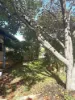 4 Ellery Place, Toodyay, WA 6566-Image