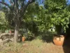 4 Ellery Place, Toodyay, WA 6566-Image