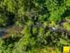 4 Emsley Street, Mareeba, Qld 4880-Image