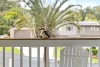 4 Fig Court, Buderim, Qld 4556-Image
