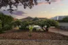 4 Flotta Street, Newton, SA 5074-Image