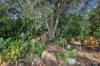 4 FREDERICK STREET, Biggenden, Qld 4621-Image