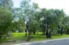 4 Geographe Close, Quindalup, WA 6281-Image