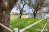 4 George Beacham Way, Pinjarra, WA 6208-Image