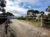 4 George Street, Grass Valley, WA 6403-Image