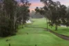 4 Gully Forest Place, Cattai, NSW 2756-Image