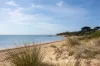 4 Gurnard Avenue, Ventnor, Vic 3922-Image